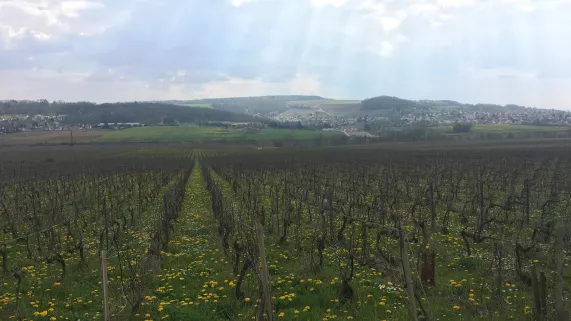 Château-Thierry,   le fabuleux joyau  de la vallée de la Marne Château-Thierry,   le fabuleux joyau  de la vallée de la Marne