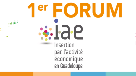 1er Forum de l’Insertion par l’Activité Economique forum de @l'insertrion par l'activité economique