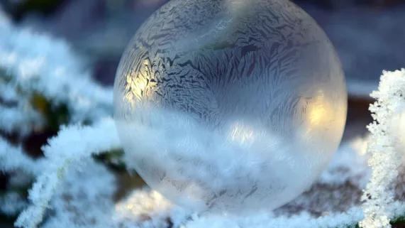 BOULE NOEL BOULE NOEL