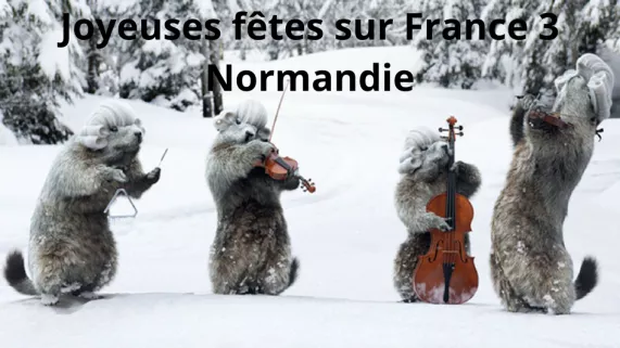 Joyeuses fêtes sur France 3 Normandie