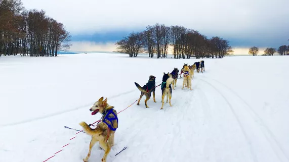 France 3 Nouvelle Aquitaine 