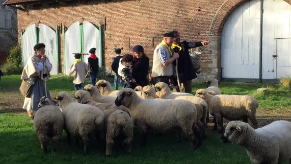 Mont des Flandres Mont des Flandres
