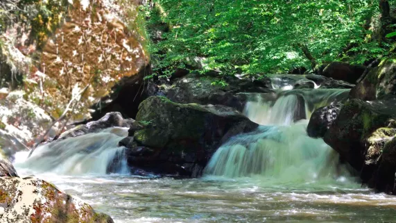 Parc naturel régional