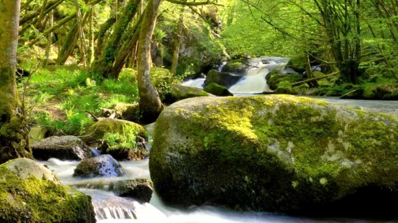 Parc naturel régional