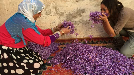 FAUT PAS REVER MAROC  ATTENDRE CHOIX SOLENE