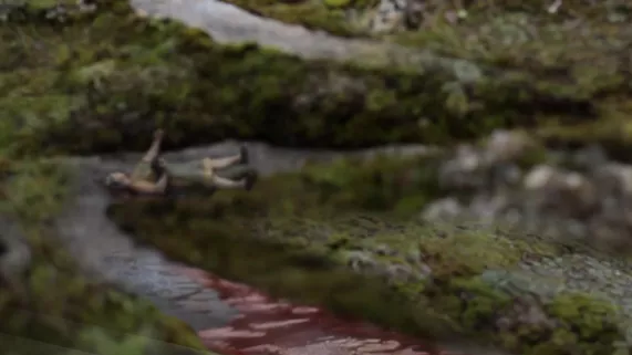 © France Télévisions / Dajma / 2017 LE CHALET