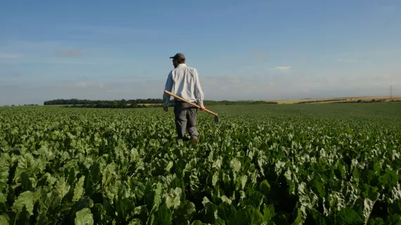Un agriculteur dans un champ