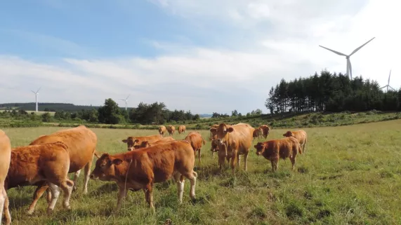 Visuel La boucle verte