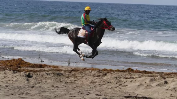 Galop sur le Tombolo ©Poischiche Films Galop sur le Tombolo