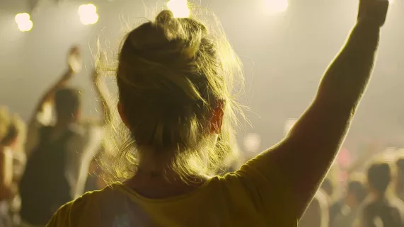 © DR image d'illustration, une femme de dos assistant à un concert