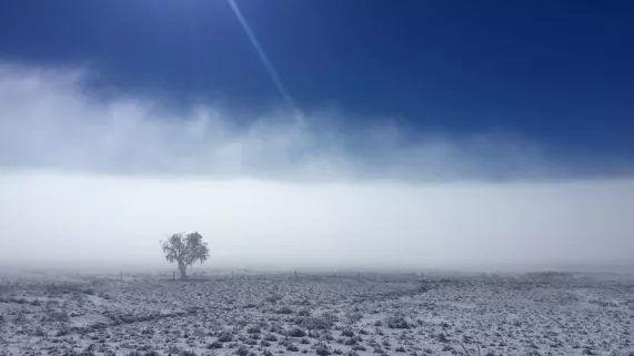 Au coeur de l'hiver