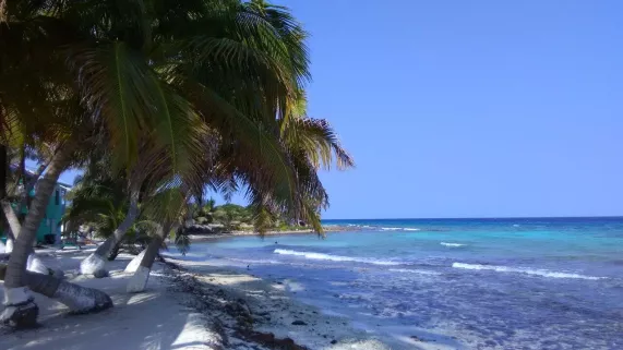 © Eclectic Production COULEUR BELIZE