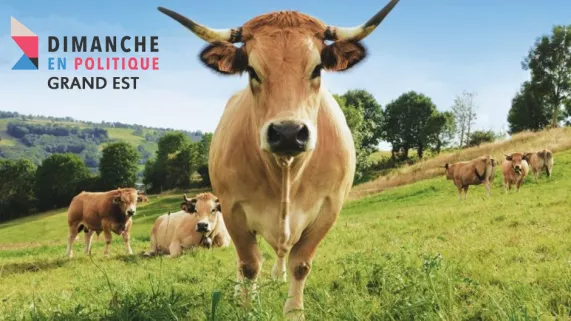 Dimanche en politique Grand Est au salon de l'agriculture