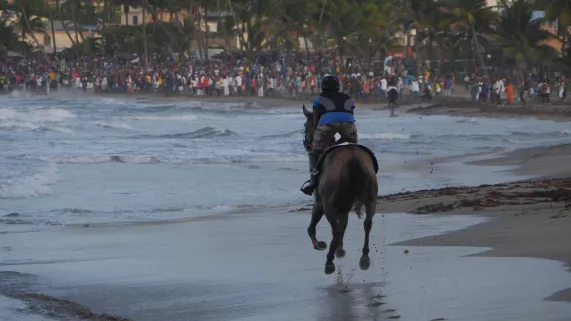©Pois Chiche films GALOP SUR LE TOMBOLO
