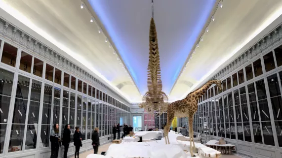 Muséum de Bordeaux - sciences et nature