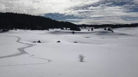 Jura un petit air de canada