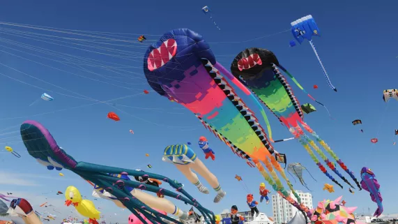 cerfs-volants cerfs-volants