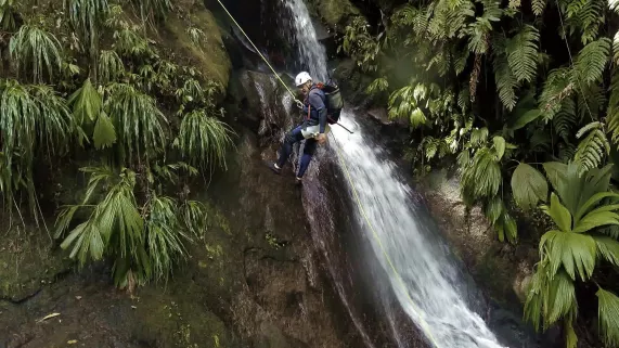 SUR LA ROUTE DES CASCADES DE GUADELOUPE