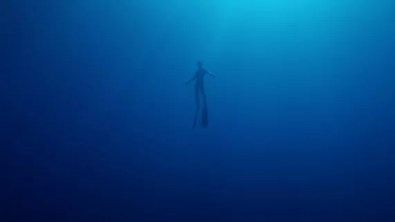 Génération grand bleu Génération grand bleu