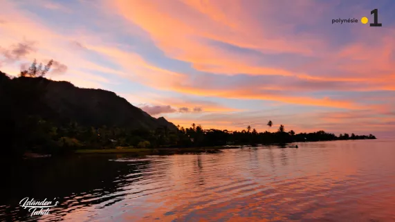 ép 23 @islanderstahiti ép 23 @islanderstahiti