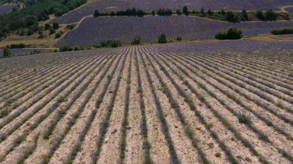 LES CENT LIEUX QU'IL FAUT VOIR