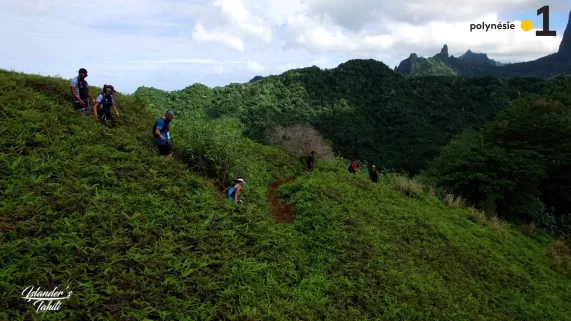 islander's tahiti 2P 25 @islanderstahiti Islander's Tahiti ép 25 @islanderstahiti