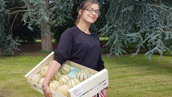 France à Sérigny dans une exploitation de melons