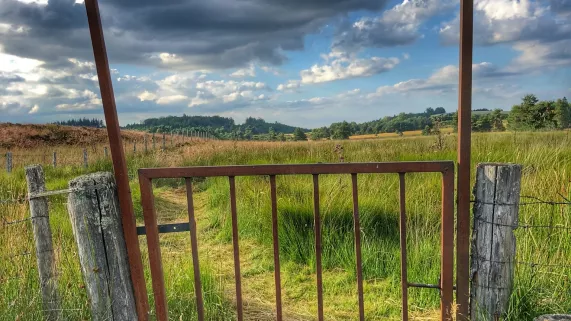 Plateau de Millevaches