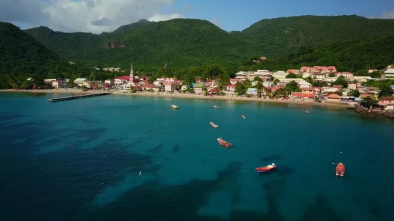 ALLEZ SAVOIR, EN MARTINIQUE LES TORTUES SE CACHENT POUR GRANDIR