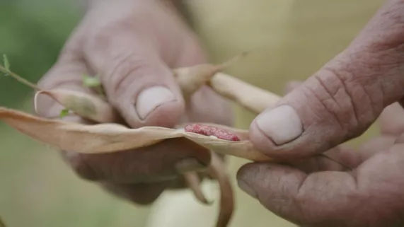 © 13 Productions NOUS, GENS DE LA TERRE