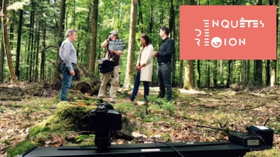 EDR : Nos forêts EDR : Nos forêts