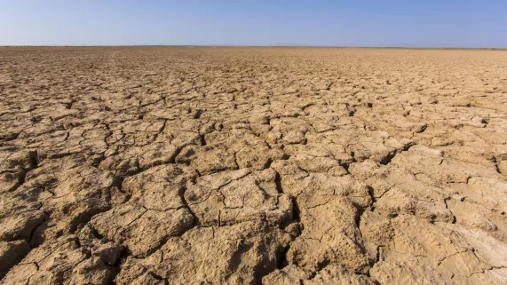 LES FORCES DE LA TERRE