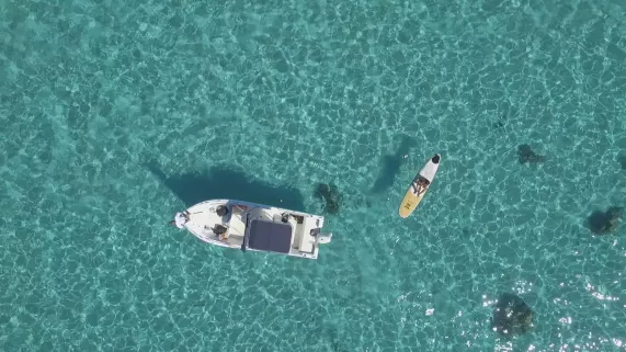 Memento/ easy compagnie CONFRONTATIONS