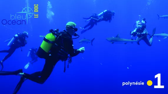 Bleu Océan - Le doc n°2