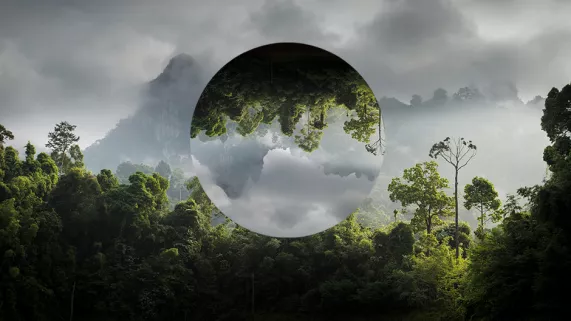 ENVIRONNEMENT 