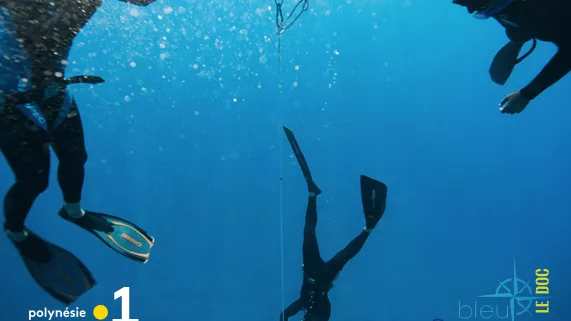 Bleu Océan - Le doc n°3