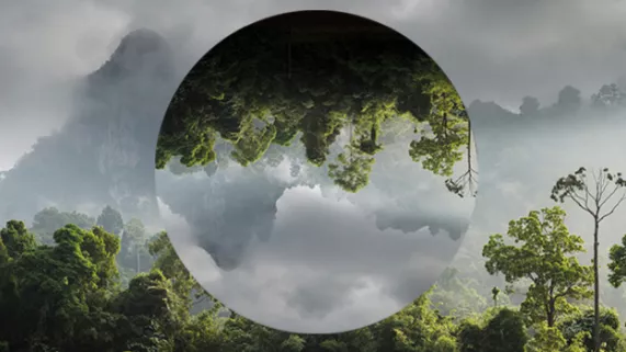 environnement
