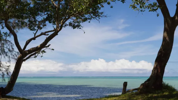 Photo NC Nathalie Guyon