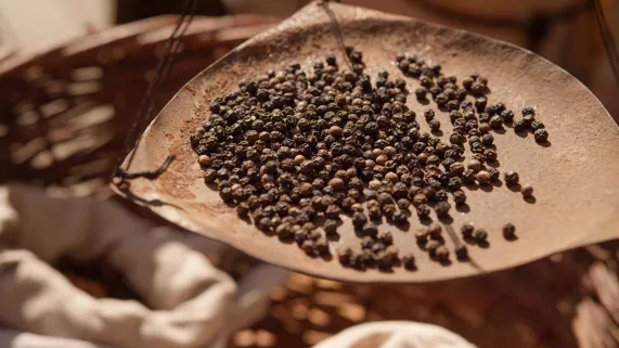 LA ROUTE DE LA SOIE, UN TRAIT ENTRE DEUX MONDES