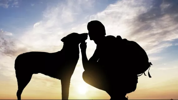 Le plus bel ami de l’homme