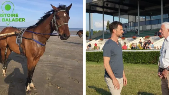 HDSB : Les fous de l'hippodrome HDSB : Les fous de l'hippodrome