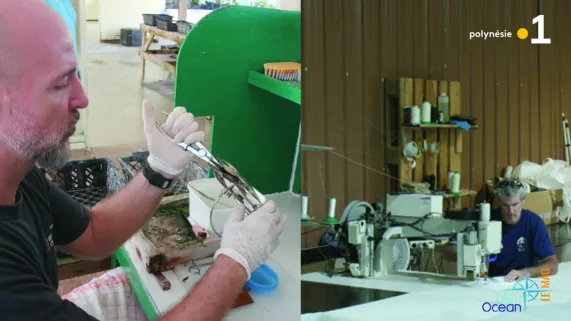 Bleu Océan - le mag n°12