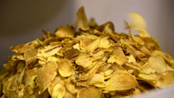 COMMENT LES CHIPS NOUS FONT CRAQUER