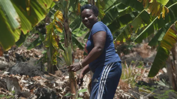 NOUS LES GENS DE LA TERRE
