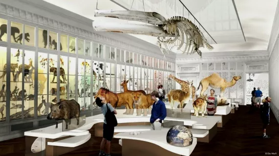 Muséum d'histoire naturelle de Bordeaux 