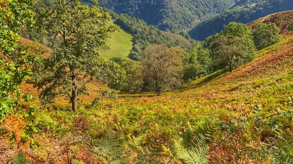 Arrière Pays Basque