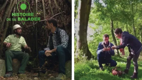 Les forêts de Normandie Les forêts de Normandie