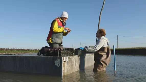 France et Adrien dans les parcs à huîtres