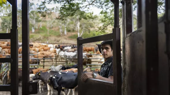 © 13 Productions - Latitude 21 Pacific • 2019