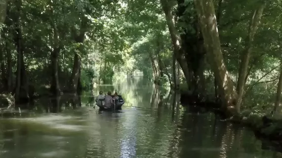 MARAIS, UN TRÉSOR CACHÉ ENTRE TERRE ET MER